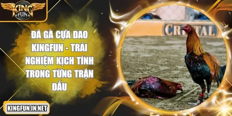 da-ga-cua-dao